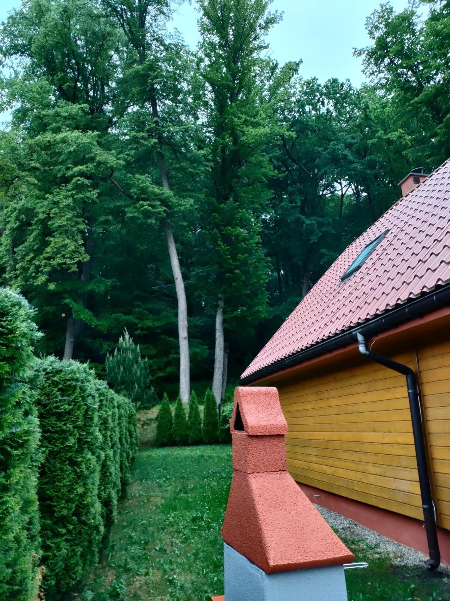 Domki I Pokoje U Borsa Lesko Habitación foto